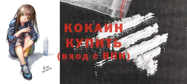 дурь Вяземский