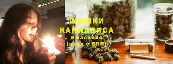 дурь Вяземский
