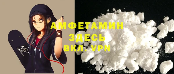 прущие грибы Переславль-Залесский