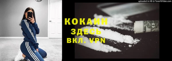 дурь Вяземский