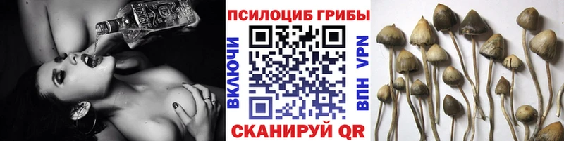 гидра зеркало  Злынка  Галлюциногенные грибы Magic Shrooms 