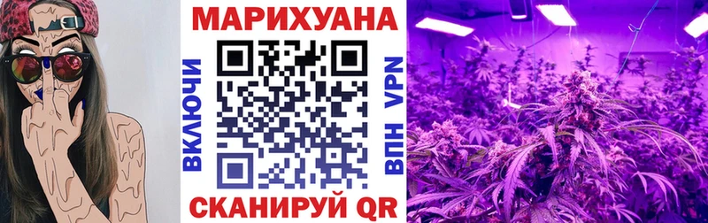 Каннабис OG Kush  Злынка 